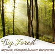 Big Forest